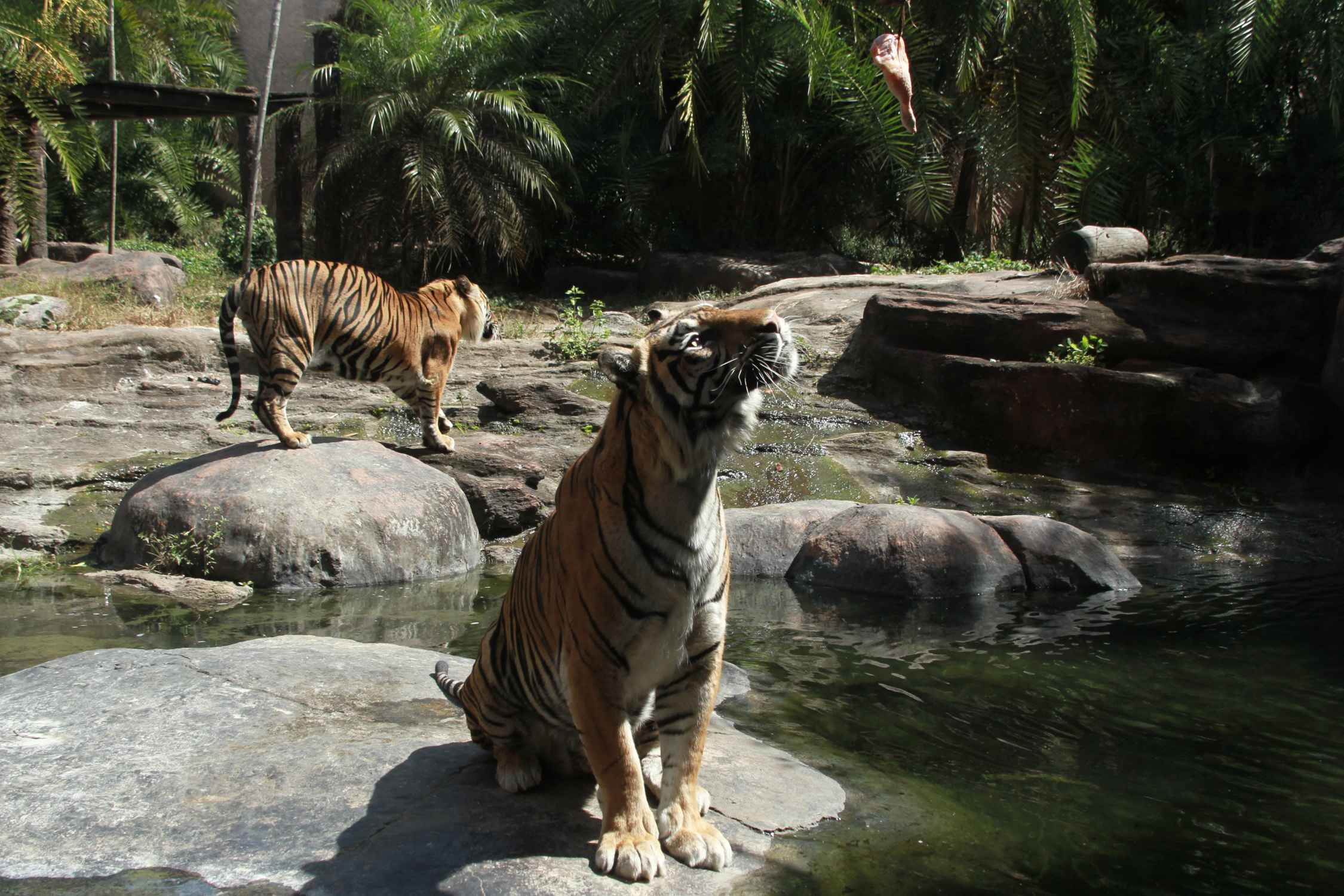 Jatim park 2